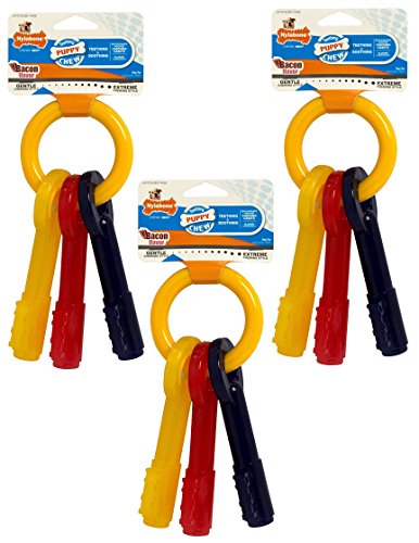 (3 Pack) Nylabone nur für Welpen Schlüssel Ring Bone Puppy Hund kauen Spielzeug Zahnen, Größe M von Nylabone