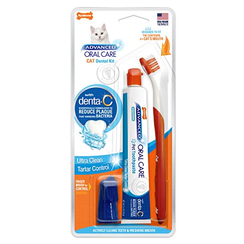 Nylabone „Advanced Oral Care“ Zahnpflege-Set von Nylabone