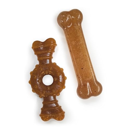 Nylabone Puppy Chew Toy Twin Pack - Puppy Chew Toys for Teething - Puppy Supplies - Chicken Flavor, Medium/Wolf (2 Count) von Nylabone