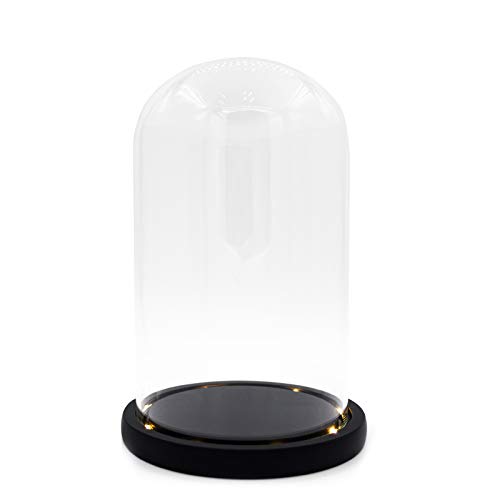 Nynell Glasglocke mit schwarzem LED-Lichter, 15,2 x 25,1 cm von Nynell