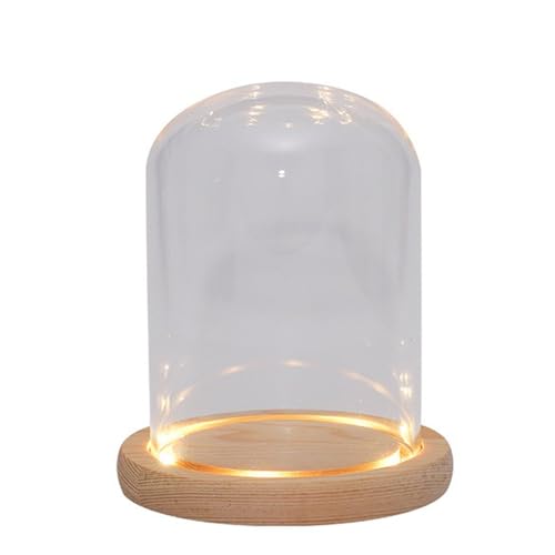 Nynelly 3.5”D X 4.7”H klare Glaskuppel Glocke mit natürlichem Holz LED-Lichtsockel, Glas-Display Glocke Glas Ornament, Blind Box Spielzeug Aufbewahrung Organizer und Vitrine von Nynell