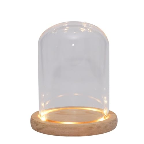 Nynelly 3.5”D X 4.7”H klare Glaskuppel Glocke mit natürlichem Holz LED-Lichtsockel, Glas-Display Glocke Glas Ornament, Blind Box Spielzeug Aufbewahrung Organizer und Vitrine von Nynelly