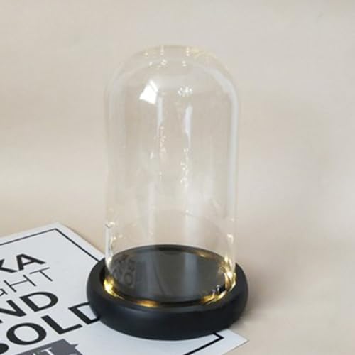 Nynelly Glasglocke mit schwarzem LED-Lichter, 3.9" D x 7.3" H von Nynelly