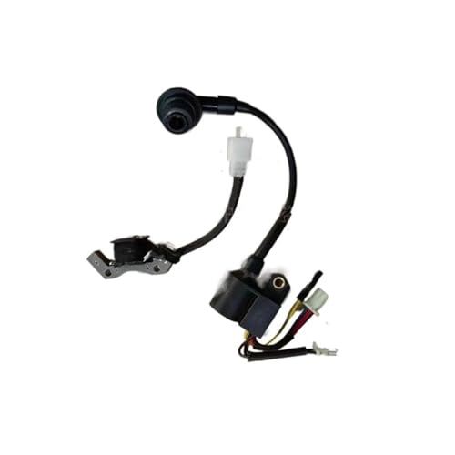 148F Zündspule passend for MZ80 149F 1800i DC 24 V 1,8 kW 2,2 kW Inverter-Generator 4-Takt-Aggregat Zündgerät Solid Stator Zündgerät 148F Zündspule passend for MZ80 149F 1800i DC 24 V 1,8 kW 2,2 kW Inverter-Generator 4-Takt-Aggregat Zündgerät Solid Stator Zündgerät von NzMRZe