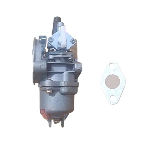 G35 Vergaser & Dichtung 11mm Fit for G3K G35L BC3410 436R Knapsack Pinsel Cutter Carb Teile G35 Vergaser & Dichtung 11mm Fit for G3K G35L BC3410 436R Knapsack Pinsel Cutter Carb Teile von NzMRZe