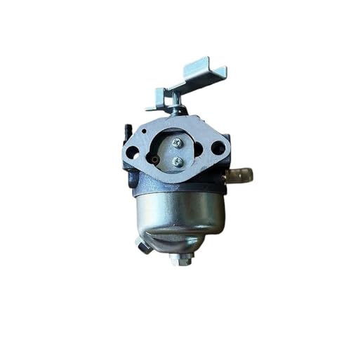 NzMRZe LC165F-1H VERGASER Passend for LC165F-3H 4T for 149CC 159CC 166CC for T262 von NzMRZe