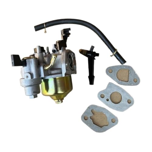 Vergaser mit Dichtung, passend for 168-ccm-196-ccm-Motoren von NzMRZe