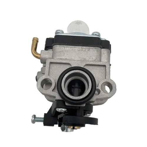 Vergaser passend for WYL-19-1 WYL-196, ersetzt 20016-81020 von NzMRZe