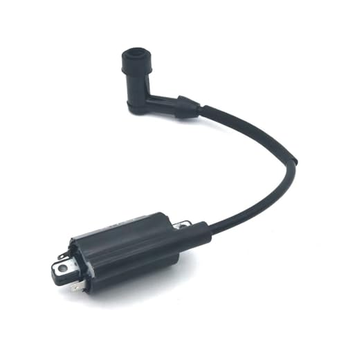Zündspule Modul Fit for CV26 CV7456 LH775 CH26 CH735 CH745 78509 78518 Motor Ersatz Teile #2451902S Zündspule Modul Fit for CV26 CV7456 LH775 CH26 CH735 CH745 78509 78518 Motor Ersatz Teile #2451902S von NzMRZe