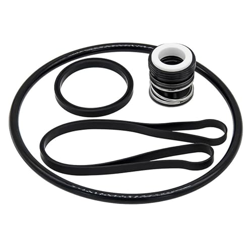 Poolpumpen Versiegelungersatz Mit O Ringen SPX1600Z2 Für SP3200EE SP3200X SP3600 Serie von OAJABBGE