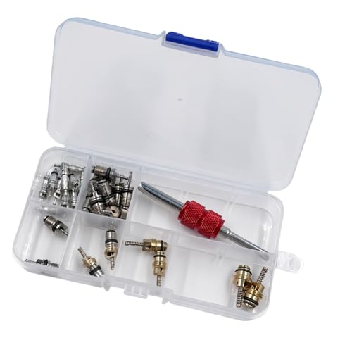 Professionelle Automobilklimaanlagen Ventile Kerne Ersatzpaket Allgemein Mit Dem Kernsatz Der Austauschbaren Accessoire Accessoire Wechselspüle von OAJABBGE