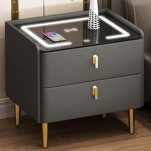 OAKVYNE Moderner Nachttisch 2er Set Moderner modischer Holzkommode mit Schubladen und Nachtkommode mit Ladestation, 2 USB-Anschlüssen und LED für Schlafzimmer, Wohnzimmer(Gray-B) von OAKVYNE