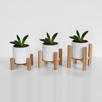 Mini Pflanzenständer Buche Für Töpfe Bis 7 cm - Erhältlich in 3 Verschiedenen Höhen Einzeln Oder 3Er Set | Mid Century Modern Mini Pflanzenständer Buche Für Töpfe Bis 7 cm - Erhältlich in 3 Verschiedenen Höhen Einzeln Oder 3Er Set | Mid Century Modern von OAKdesignDE