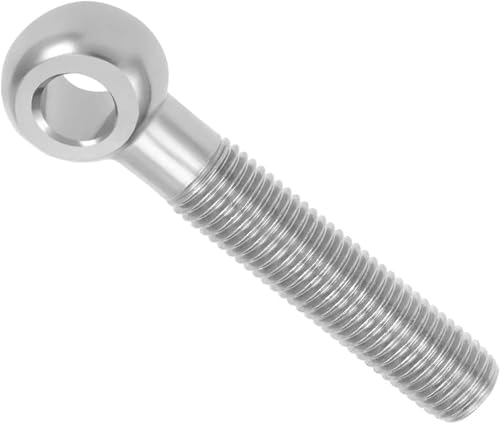 Ringschraube aus Edelstahl 304, metrisches M24-Gewinde, Heberingschraube mit guten mechanischen Eigenschaften, 1 Stück(M24x250mm) von OAOAO