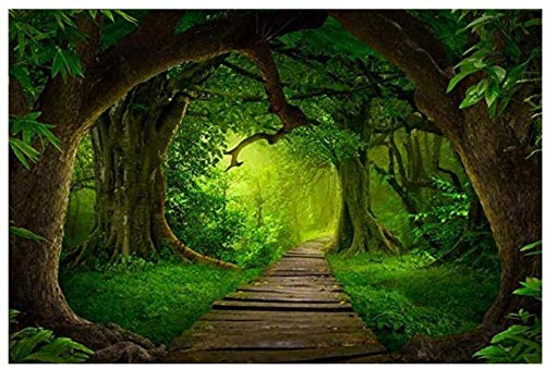 OAOQ DIY Diamant-Malerei Kits 5D Diamond Painting Malen Nach Zahlen Voll Strass Stickerei Große Kreuzstich Craft Weg Im Grünen Wald Für Home Wand-Decor Gift 30X40Cm von OAOQ