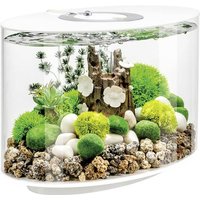OASE biOrb 86414 biOrb LOOP 15 LED weiß Aquarium EEK: G (A - G) 15l mit LED-Beleuchtung von OASE biOrb
