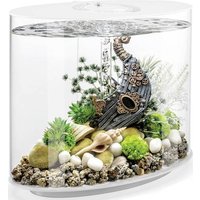 OASE biOrb 86415 biOrb LOOP 30 LED weiß Aquarium EEK: G (A - G) 30l mit LED-Beleuchtung von OASE biOrb