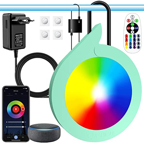 OASHISU LED Poolbeleuchtung Unterwasser für Aufstellpool 20W RGB Einhänge Poolscheinwerfer mit APP Funktioniert mit Alexa & Google Assistant Magnetisch Poollicht für Stahlrahmen & Stahlwandpool IP68 von OASHISU