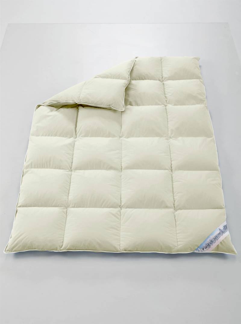 Bett von OBB