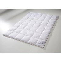 Daunen-Bettwarenprogramm zum 125 Jahre OBB Jubiläum Daunen-Bettwarenprogramm zum 125 Jahre OBB Jubiläum von OBB