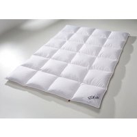 Daunen-Bettwarenprogramm zum 125 Jahre OBB Jubiläum Daunen-Bettwarenprogramm zum 125 Jahre OBB Jubiläum von OBB