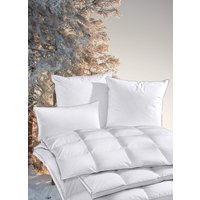 Extrawarme Schwarzwald-Kissen von OBB für die kalte Jahreszeit Extrawarme Schwarzwald-Kissen von OBB für die kalte Jahreszeit von OBB