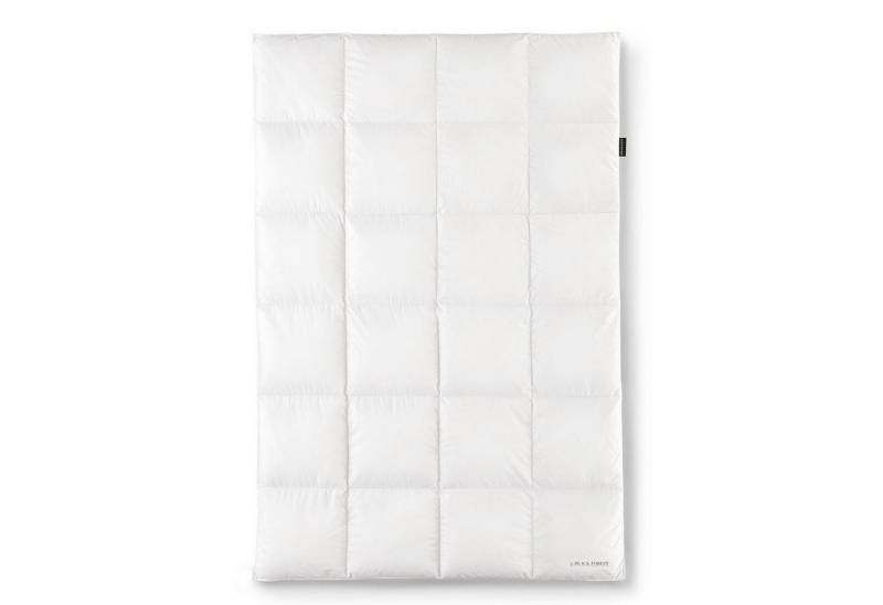 OBB Daunenbettdecke OBB Black Forest Gänsedaunen-Kassettendecke Winterdecke Birta extra von OBB