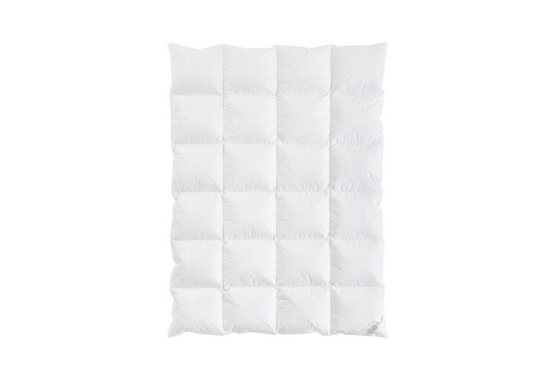 OBB Daunenbettdecke OBB One & Only Daunendecke Winterdecke Größe 135x200 cm von OBB