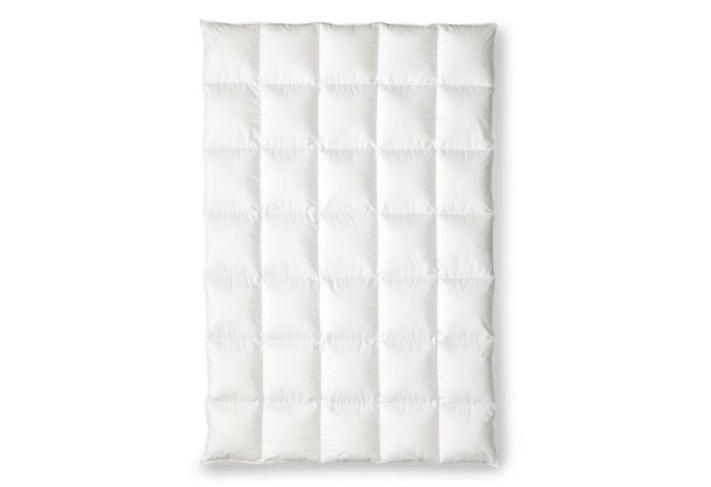 OBB Einziehdecke OBB Black Forest Faser-Kassettendecke Winterdecke Priska warm Größe von OBB