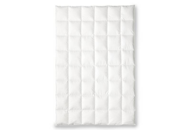 OBB Einziehdecke OBB Black Forest Gänsedaunen-Kassettendecke Ganzjahresdecke Birta von OBB