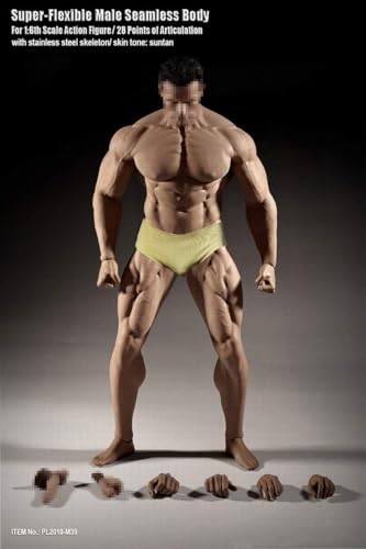 OBEST 1/6 Gliederpuppen Zeichenpuppe Modellpuppe Körper Figur Männlich 12 Zoll Super Flexible Nahtlose PL2018-M35 28 cm Mit Metall Skelett (Nicht enthalten Kopf Sculpt) von OBEST