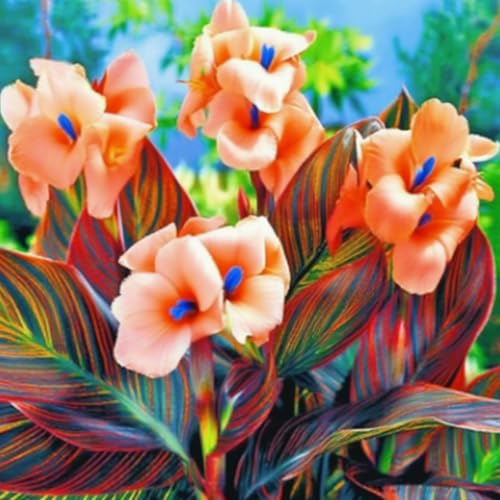 CannaZwiebeln -Zierlauch - Wurzeln– üPpig GrüNe BläTter, Pflegeleicht, Perfekt FüR Haus Und Garten-2 Stängel-H von OCFVJNF