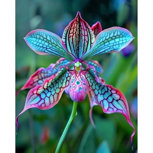 [Ocfvjnf] KäLteresistente Schwertlilienzwiebeln – Xxl-Iris Germanica-3 iriszwiebeln-B von OCFVJNF