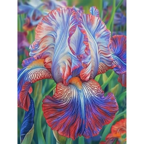 Schwertlilien-Iris- Wurzeln– üPpig GrüNe BläTter, Pflegeleicht, Perfekt FüR Haus Und Garten von OCFVJNF