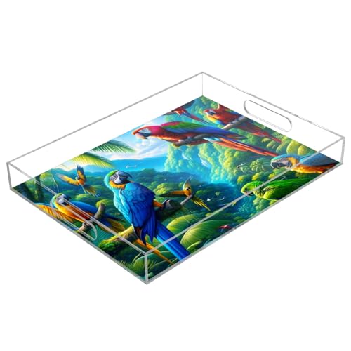 Kaffeetablett für Arbeitsplatte 15,7 x 11,8, bunte Papageien Acryl Tablett mit Griffen Schublade für Bad Theke von ODAWA