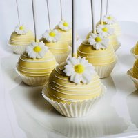 Daisy Margarita Cake Pops Babyshower Geburtstag Events Erster Baby Hochzeit Candy Bar von ODDAcake