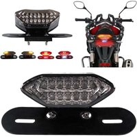 Odipie - Motorrad-LED-Rücklichter, integrierte Bremslichter und Blinker-Kontrollleuchte, 5 w, 20 LEDs, Laufbremse, Blinker, Nummernschildhalter von ODIPIE