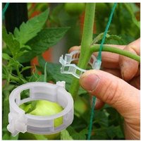 Niemals verwendet] 100PCS Anlage Unterstützung Garten Clips Tomaten Clips Unterstützt/Verbindet Pflanzen/Fix von ODIPIE
