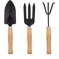 Niemals verwendet] Mini-Gartengeräte-Set, 3er-Set, Werkzeuge für Sukkulentenpflanzen, Rechen, Gabel und Schaufel mit Holzgriff, von ODIPIE