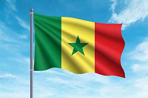 OEDIM Flagge von Senegal | 150 x 85 cm | verstärkt und mit Nähten | Flagge mit 2 Metallösen und wasserdicht von Oedim
