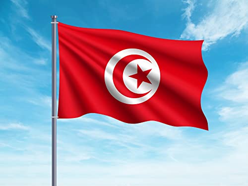 OEDIM Flagge von Tunesien | 150 x 85 cm | verstärkt und mit Nähten | Flagge mit 2 Metallösen und wasserdicht von Oedim
