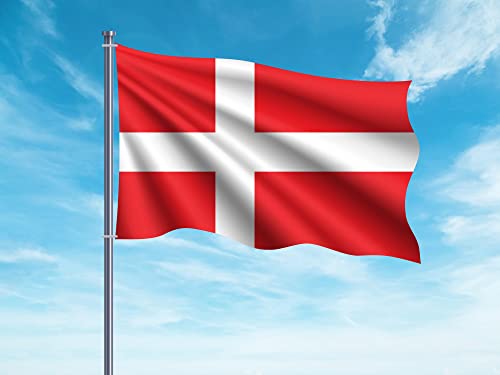 Oedim Flagge Dänemark | 150 x 85 cm | verstärkt und vernäht | Flagge mit 2 Metallösen und wasserdicht von Oedim