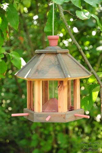 Vogelhaus,wetterfest SCHWARZ / ANTHRAZIT,at ,große Futterfläche + Dach,mit ständer,MASSIV+ winterfest, Holz futterhaus für Vögel,mit Vogelfutter-Station Farbe schwarz lasiert,anthrazit / Holz natur,Ausführung Naturholz von ÖLBAUM