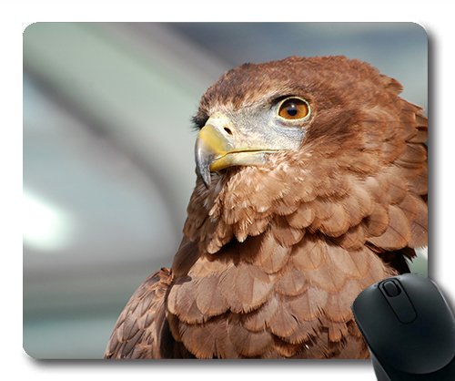 (genaue - Kante - Mousepad) Adler Raptor Gaming - Maus Prey Falcon Falcon Mac - Oder der Computer Mouse Pad. von OEM