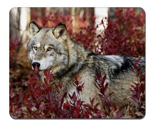 Die Allgemeine Anpassung - Mousepad Gaming Mouse Pad Tiere Wolf - Maus - Pads, Gaming Mouse Pad von OEM