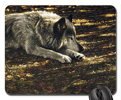 Die Wiesel - Mousepad, Mousepads. von OEM