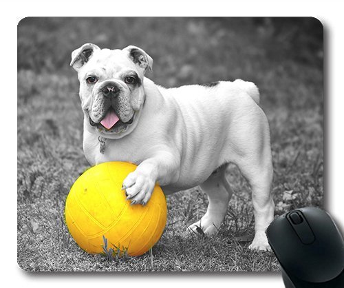 Gaming Mouse Pad - Mousepad für Mac und Windows - Gamer - Bulldog Haustiere Spielen die Aufmerksamkeit der Kinder Spielen Frauen/Männer Yanteng Verkauft von OEM