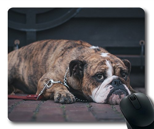 Gaming Mouse Pad - Mousepad für Mac und Windows - Gamer - Hund - Haustiere Hunde Schöne Frauen/Männer Yanteng Kinder Verkauft Werden von OEM