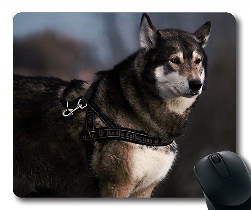 Gaming Mouse Pad - Mousepad für Mac und Windows auf Hunde Husky - Haustier Hund Gamer Fell reinrassige für Frauen/Männer Yanteng Kinder Verkauft Werden von OEM