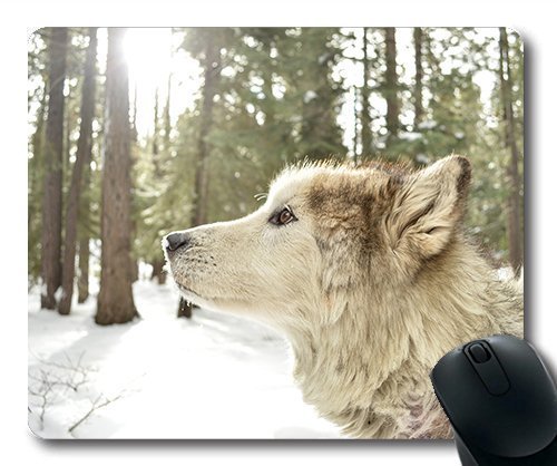 Gaming Mouse Pad. Mac - und Windows - Gamer - MalaMutt Wolf Mischung Hintergrund Schnee - Wald - Baum für Frauen/Männer Yanteng Kinder Verkauft Werden von OEM